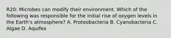 R20: Microbes can modify their environment. Which of the following was responsible for the initial rise of oxygen levels in the Earth's atmosphere? A. Proteobacteria B. Cyanobacteria C. Algae D. Aquifex