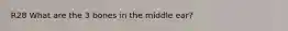 R28 What are the 3 bones in the middle ear?