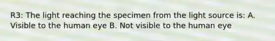 R3: The light reaching the specimen from the light source is: A. Visible to the human eye B. Not visible to the human eye