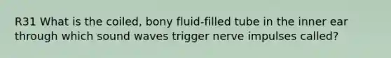 R31 What is the coiled, bony fluid-filled tube in the inner ear through which sound waves trigger nerve impulses called?