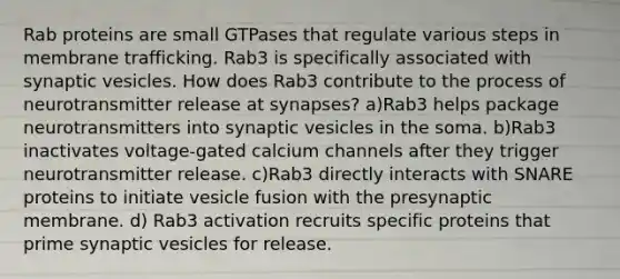 Rab proteins are small GTPases that regulate various steps in membrane trafficking. Rab3 is specifically associated with synaptic vesicles. How does Rab3 contribute to the process of neurotransmitter release at synapses? a)Rab3 helps package neurotransmitters into synaptic vesicles in the soma. b)Rab3 inactivates voltage-gated calcium channels after they trigger neurotransmitter release. c)Rab3 directly interacts with SNARE proteins to initiate vesicle fusion with the presynaptic membrane. d) Rab3 activation recruits specific proteins that prime synaptic vesicles for release.