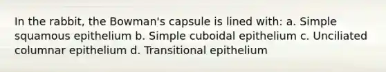 In the rabbit, the Bowman's capsule is lined with: a. Simple squamous epithelium b. Simple cuboidal epithelium c. Unciliated columnar epithelium d. Transitional epithelium