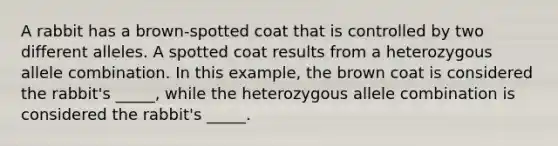 A rabbit has a brown-spotted coat that is controlled by two different alleles. A spotted coat results from a heterozygous allele combination. In this example, the brown coat is considered the rabbit's _____, while the heterozygous allele combination is considered the rabbit's _____.