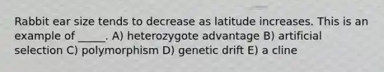 Rabbit ear size tends to decrease as latitude increases. This is an example of _____. A) heterozygote advantage B) artificial selection C) polymorphism D) genetic drift E) a cline