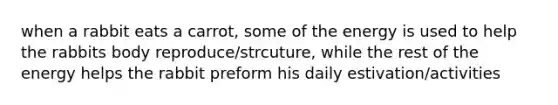 when a rabbit eats a carrot, some of the energy is used to help the rabbits body reproduce/strcuture, while the rest of the energy helps the rabbit preform his daily estivation/activities