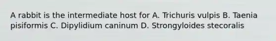A rabbit is the intermediate host for A. Trichuris vulpis B. Taenia pisiformis C. Dipylidium caninum D. Strongyloides stecoralis