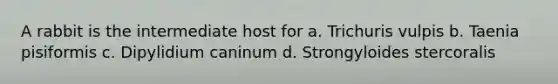 A rabbit is the intermediate host for a. Trichuris vulpis b. Taenia pisiformis c. Dipylidium caninum d. Strongyloides stercoralis
