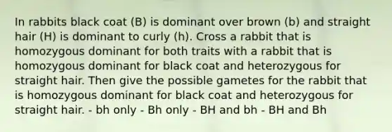 In rabbits black coat (B) is dominant over brown (b) and straight hair (H) is dominant to curly (h). Cross a rabbit that is homozygous dominant for both traits with a rabbit that is homozygous dominant for black coat and heterozygous for straight hair. Then give the possible gametes for the rabbit that is homozygous dominant for black coat and heterozygous for straight hair. - bh only - Bh only - BH and bh - BH and Bh