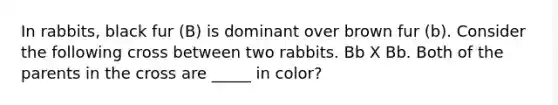 In rabbits, black fur (B) is dominant over brown fur (b). Consider the following cross between two rabbits. Bb X Bb. Both of the parents in the cross are _____ in color?