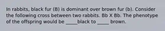 In rabbits, black fur (B) is dominant over brown fur (b). Consider the following cross between two rabbits. Bb X Bb. The phenotype of the offspring would be _____black to _____ brown.