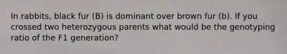 In rabbits, black fur (B) is dominant over brown fur (b). If you crossed two heterozygous parents what would be the genotyping ratio of the F1 generation?