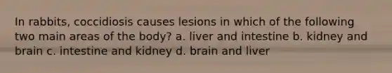 In rabbits, coccidiosis causes lesions in which of the following two main areas of the body? a. liver and intestine b. kidney and brain c. intestine and kidney d. brain and liver