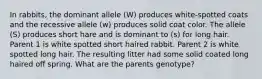 In rabbits, the dominant allele (W) produces white-spotted coats and the recessive allele (w) produces solid coat color. The allele (S) produces short hare and is dominant to (s) for long hair. Parent 1 is white spotted short haired rabbit. Parent 2 is white spotted long hair. The resulting litter had some solid coated long haired off spring. What are the parents genotype?