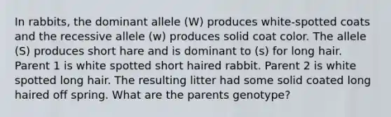 In rabbits, the dominant allele (W) produces white-spotted coats and the recessive allele (w) produces solid coat color. The allele (S) produces short hare and is dominant to (s) for long hair. Parent 1 is white spotted short haired rabbit. Parent 2 is white spotted long hair. The resulting litter had some solid coated long haired off spring. What are the parents genotype?