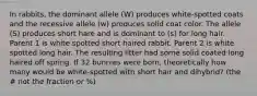 In rabbits, the dominant allele (W) produces white-spotted coats and the recessive allele (w) produces solid coat color. The allele (S) produces short hare and is dominant to (s) for long hair. Parent 1 is white spotted short haired rabbit. Parent 2 is white spotted long hair. The resulting litter had some solid coated long haired off spring. If 32 bunnies were born, theoretically how many would be white-spotted with short hair and dihybrid? (the # not the fraction or %)