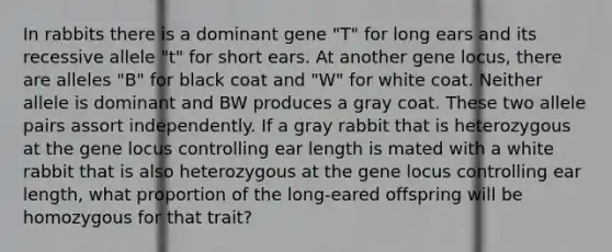 In rabbits there is a dominant gene "T" for long ears and its recessive allele "t" for short ears. At another gene locus, there are alleles "B" for black coat and "W" for white coat. Neither allele is dominant and BW produces a gray coat. These two allele pairs assort independently. If a gray rabbit that is heterozygous at the gene locus controlling ear length is mated with a white rabbit that is also heterozygous at the gene locus controlling ear length, what proportion of the long-eared offspring will be homozygous for that trait?