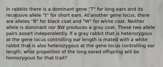 In rabbits there is a dominant gene "T" for long ears and its recessive allele "t" for short ears. At another gene locus, there are alleles "B" for black coat and "W" for white coat. Neither allele is dominant nor BW produces a gray coat. These two allele pairs assort independently. If a gray rabbit that is heterozygous at the gene locus controlling ear length is mated with a white rabbit that is also heterozygous at the gene locus controlling ear length, what proportion of the long-eared offspring will be homozygous for that trait?