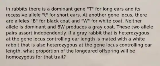 In rabbits there is a dominant gene "T" for long ears and its recessive allele "t" for short ears. At another gene locus, there are alleles "B" for black coat and "W" for white coat. Neither allele is dominant and BW produces a gray coat. These two allele pairs assort independently. If a gray rabbit that is heterozygous at the gene locus controlling ear length is mated with a white rabbit that is also heterozygous at the gene locus controlling ear length, what proportion of the longeared offspring will be homozygous for that trait?