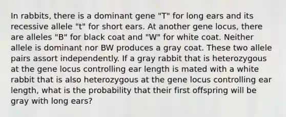 In rabbits, there is a dominant gene "T" for long ears and its recessive allele "t" for short ears. At another gene locus, there are alleles "B" for black coat and "W" for white coat. Neither allele is dominant nor BW produces a gray coat. These two allele pairs assort independently. If a gray rabbit that is heterozygous at the gene locus controlling ear length is mated with a white rabbit that is also heterozygous at the gene locus controlling ear length, what is the probability that their first offspring will be gray with long ears?