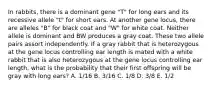 In rabbits, there is a dominant gene "T" for long ears and its recessive allele "t" for short ears. At another gene locus, there are alleles "B" for black coat and "W" for white coat. Neither allele is dominant and BW produces a gray coat. These two allele pairs assort independently. If a gray rabbit that is heterozygous at the gene locus controlling ear length is mated with a white rabbit that is also heterozygous at the gene locus controlling ear length, what is the probability that their first offspring will be gray with long ears? A. 1/16 B. 3/16 C. 1/8 D. 3/8 E. 1/2