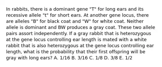 In rabbits, there is a dominant gene "T" for long ears and its recessive allele "t" for short ears. At another gene locus, there are alleles "B" for black coat and "W" for white coat. Neither allele is dominant and BW produces a gray coat. These two allele pairs assort independently. If a gray rabbit that is heterozygous at the gene locus controlling ear length is mated with a white rabbit that is also heterozygous at the gene locus controlling ear length, what is the probability that their first offspring will be gray with long ears? A. 1/16 B. 3/16 C. 1/8 D. 3/8 E. 1/2