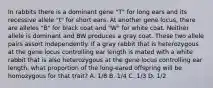 In rabbits there is a dominant gene "T" for long ears and its recessive allele "t" for short ears. At another gene locus, there are alleles "B" for black coat and "W" for white coat. Neither allele is dominant and BW produces a gray coat. These two allele pairs assort independently. If a gray rabbit that is heterozygous at the gene locus controlling ear length is mated with a white rabbit that is also heterozygous at the gene locus controlling ear length, what proportion of the long-eared offspring will be homozygous for that trait? A. 1/8 B. 1/4 C. 1/3 D. 1/2