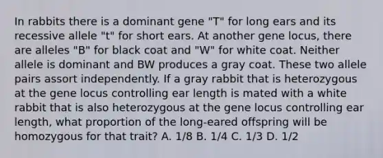 In rabbits there is a dominant gene "T" for long ears and its recessive allele "t" for short ears. At another gene locus, there are alleles "B" for black coat and "W" for white coat. Neither allele is dominant and BW produces a gray coat. These two allele pairs assort independently. If a gray rabbit that is heterozygous at the gene locus controlling ear length is mated with a white rabbit that is also heterozygous at the gene locus controlling ear length, what proportion of the long-eared offspring will be homozygous for that trait? A. 1/8 B. 1/4 C. 1/3 D. 1/2