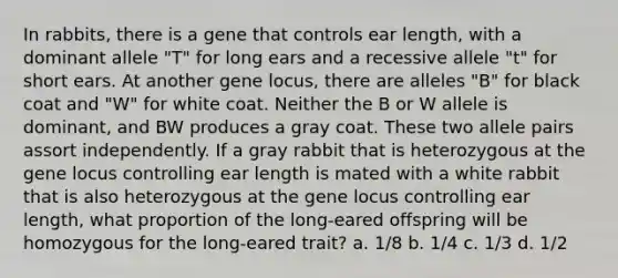 In rabbits, there is a gene that controls ear length, with a dominant allele "T" for long ears and a recessive allele "t" for short ears. At another gene locus, there are alleles "B" for black coat and "W" for white coat. Neither the B or W allele is dominant, and BW produces a gray coat. These two allele pairs assort independently. If a gray rabbit that is heterozygous at the gene locus controlling ear length is mated with a white rabbit that is also heterozygous at the gene locus controlling ear length, what proportion of the long-eared offspring will be homozygous for the long-eared trait? a. 1/8 b. 1/4 c. 1/3 d. 1/2