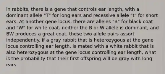 in rabbits, there is a gene that controls ear length, with a dominant allele "T" for long ears and recessive allele "t" for short ears. At another gene locus, there are alleles "B" for black coat and "W" for white coat. neither the B or W allele is dominant, and BW produces a great coat. these two allele pairs assort independently. if a gray rabbit that is heterozygous at the gene locus controlling ear length, is mated with a white rabbit that is also heterozygous at the gene locus controlling ear length, what is the probability that their first offspring will be gray with long ears