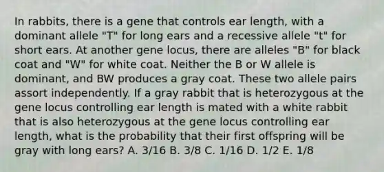 In rabbits, there is a gene that controls ear length, with a dominant allele "T" for long ears and a recessive allele "t" for short ears. At another gene locus, there are alleles "B" for black coat and "W" for white coat. Neither the B or W allele is dominant, and BW produces a gray coat. These two allele pairs assort independently. If a gray rabbit that is heterozygous at the gene locus controlling ear length is mated with a white rabbit that is also heterozygous at the gene locus controlling ear length, what is the probability that their first offspring will be gray with long ears? A. 3/16 B. 3/8 C. 1/16 D. 1/2 E. 1/8