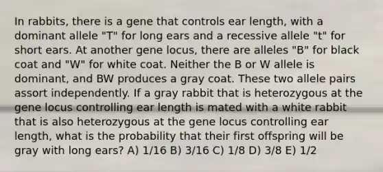 In rabbits, there is a gene that controls ear length, with a dominant allele "T" for long ears and a recessive allele "t" for short ears. At another gene locus, there are alleles "B" for black coat and "W" for white coat. Neither the B or W allele is dominant, and BW produces a gray coat. These two allele pairs assort independently. If a gray rabbit that is heterozygous at the gene locus controlling ear length is mated with a white rabbit that is also heterozygous at the gene locus controlling ear length, what is the probability that their first offspring will be gray with long ears? A) 1/16 B) 3/16 C) 1/8 D) 3/8 E) 1/2