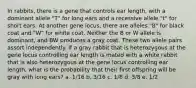 In rabbits, there is a gene that controls ear length, with a dominant allele "T" for long ears and a recessive allele "t" for short ears. At another gene locus, there are alleles "B" for black coat and "W" for white coat. Neither the B or W allele is dominant, and BW produces a gray coat. These two allele pairs assort independently. If a gray rabbit that is heterozygous at the gene locus controlling ear length is mated with a white rabbit that is also heterozygous at the gene locus controlling ear length, what is the probability that their first offspring will be gray with long ears? a. 1/16 b. 3/16 c. 1/8 d. 3/8 e. 1/2