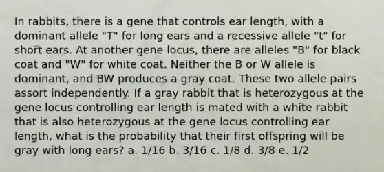 In rabbits, there is a gene that controls ear length, with a dominant allele "T" for long ears and a recessive allele "t" for short ears. At another gene locus, there are alleles "B" for black coat and "W" for white coat. Neither the B or W allele is dominant, and BW produces a gray coat. These two allele pairs assort independently. If a gray rabbit that is heterozygous at the gene locus controlling ear length is mated with a white rabbit that is also heterozygous at the gene locus controlling ear length, what is the probability that their first offspring will be gray with long ears? a. 1/16 b. 3/16 c. 1/8 d. 3/8 e. 1/2