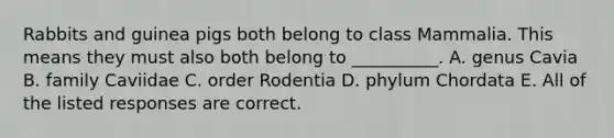 Rabbits and guinea pigs both belong to class Mammalia. This means they must also both belong to __________. A. genus Cavia B. family Caviidae C. order Rodentia D. phylum Chordata E. All of the listed responses are correct.