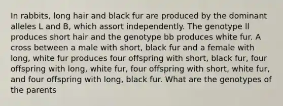 In rabbits, long hair and black fur are produced by the dominant alleles L and B, which assort independently. The genotype ll produces short hair and the genotype bb produces white fur. A cross between a male with short, black fur and a female with long, white fur produces four offspring with short, black fur, four offspring with long, white fur, four offspring with short, white fur, and four offspring with long, black fur. What are the genotypes of the parents