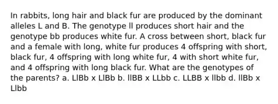 In rabbits, long hair and black fur are produced by the dominant alleles L and B. The genotype ll produces short hair and the genotype bb produces white fur. A cross between short, black fur and a female with long, white fur produces 4 offspring with short, black fur, 4 offspring with long white fur, 4 with short white fur, and 4 offspring with long black fur. What are the genotypes of the parents? a. LlBb x LlBb b. llBB x LLbb c. LLBB x llbb d. llBb x Llbb