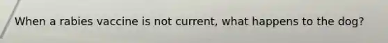 When a rabies vaccine is not current, what happens to the dog?