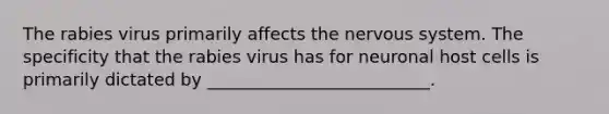 The rabies virus primarily affects the <a href='https://www.questionai.com/knowledge/kThdVqrsqy-nervous-system' class='anchor-knowledge'>nervous system</a>. The specificity that the rabies virus has for neuronal host cells is primarily dictated by __________________________.