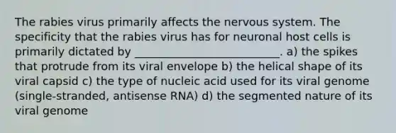 The rabies virus primarily affects the <a href='https://www.questionai.com/knowledge/kThdVqrsqy-nervous-system' class='anchor-knowledge'>nervous system</a>. The specificity that the rabies virus has for neuronal host cells is primarily dictated by __________________________. a) the spikes that protrude from its viral envelope b) the helical shape of its viral capsid c) the type of nucleic acid used for its viral genome (single-stranded, antisense RNA) d) the segmented nature of its viral genome