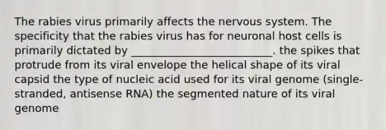 The rabies virus primarily affects the nervous system. The specificity that the rabies virus has for neuronal host cells is primarily dictated by __________________________. the spikes that protrude from its viral envelope the helical shape of its viral capsid the type of nucleic acid used for its viral genome (single-stranded, antisense RNA) the segmented nature of its viral genome