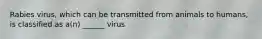 Rabies virus, which can be transmitted from animals to humans, is classified as a(n) ______ virus