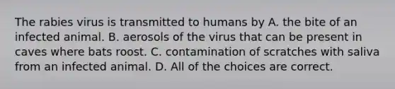 The rabies virus is transmitted to humans by A. the bite of an infected animal. B. aerosols of the virus that can be present in caves where bats roost. C. contamination of scratches with saliva from an infected animal. D. All of the choices are correct.