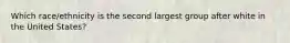 Which race/ethnicity is the second largest group after white in the United States?