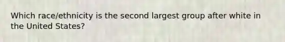Which race/ethnicity is the second largest group after white in the United States?