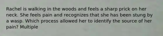 Rachel is walking in the woods and feels a sharp prick on her neck. She feels pain and recognizes that she has been stung by a wasp. Which process allowed her to identify the source of her pain? Multiple