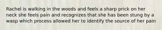 Rachel is walking in the woods and feels a sharp prick on her neck she feels pain and recognizes that she has been stung by a wasp which process allowed her to identify the source of her pain