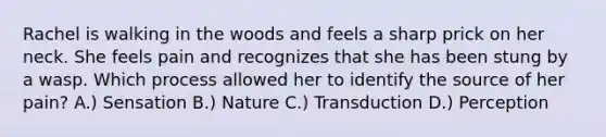 Rachel is walking in the woods and feels a sharp prick on her neck. She feels pain and recognizes that she has been stung by a wasp. Which process allowed her to identify the source of her pain? A.) Sensation B.) Nature C.) Transduction D.) Perception