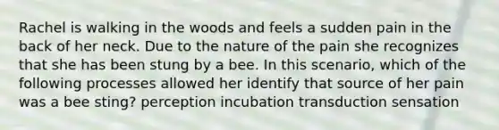 Rachel is walking in the woods and feels a sudden pain in the back of her neck. Due to the nature of the pain she recognizes that she has been stung by a bee. In this scenario, which of the following processes allowed her identify that source of her pain was a bee sting? perception incubation transduction sensation