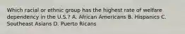 Which racial or ethnic group has the highest rate of welfare dependency in the U.S.? A. African Americans B. Hispanics C. Southeast Asians D. Puerto Ricans