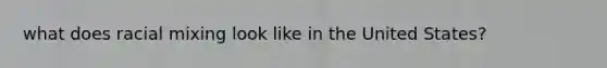 what does racial mixing look like in the United States?